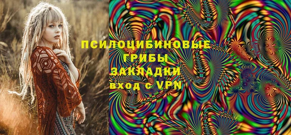 герыч Бронницы