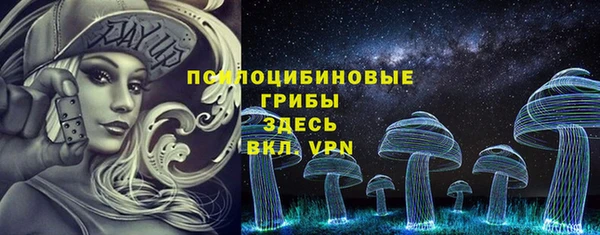 стаф Бугульма