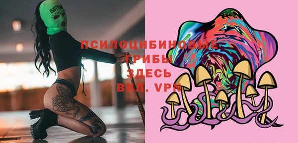 стаф Бугульма