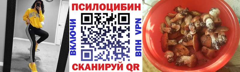 Псилоцибиновые грибы MAGIC MUSHROOMS  KRAKEN зеркало  Трёхгорный  сколько стоит 